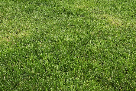 5 Landscaping Projects to Schedule Now in Columbus, GA