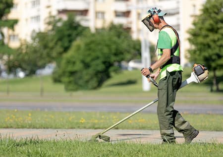 Top 5 Signs Your Lawn Needs Professional Help (And What You Can Do About It)
